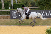Al Shira'aa British Young Horse Championships