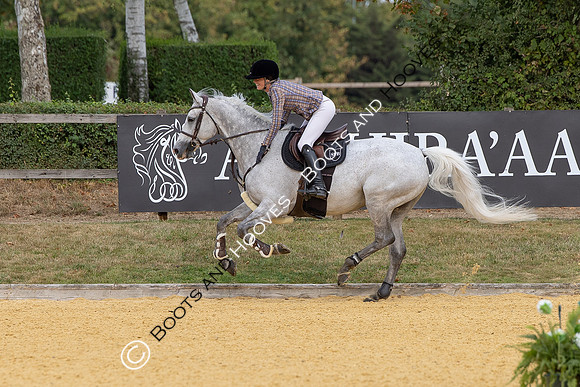 Al Shira'aa British Young Horse Championships
