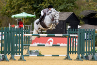 Al Shira'aa British Young Horse Championships
