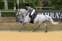 Al Shira'aa British Young Horse Championships