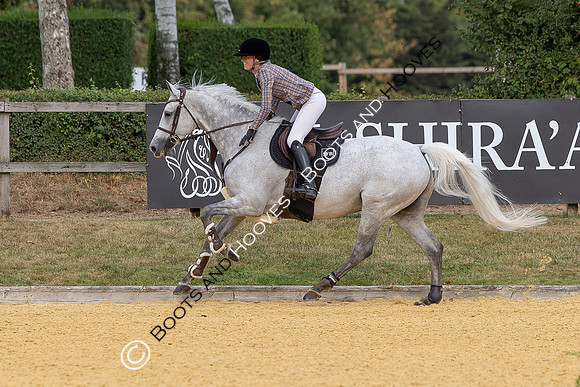 Al Shira'aa British Young Horse Championships