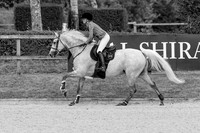 Al Shira'aa British Young Horse Championships