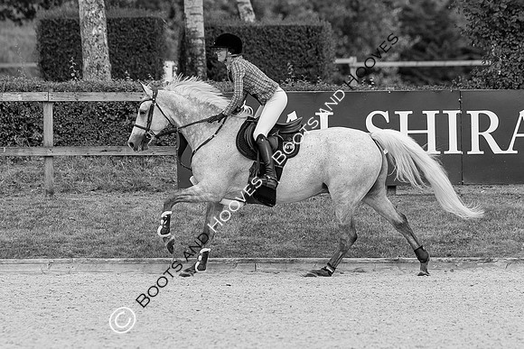 Al Shira'aa British Young Horse Championships