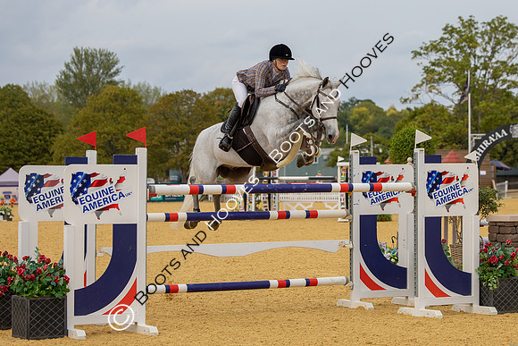 Al Shira'aa British Young Horse Championships