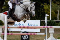 Al Shira'aa British Young Horse Championships