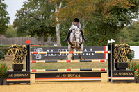 Al Shira'aa British Young Horse Championships