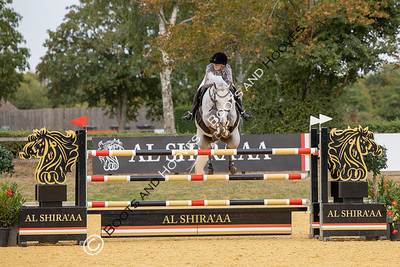 Al Shira'aa British Young Horse Championships