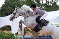 Al Shira'aa British Young Horse Championships