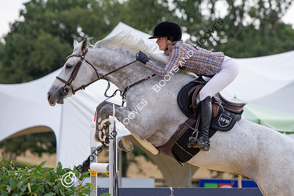 Al Shira'aa British Young Horse Championships