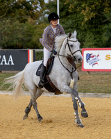 Al Shira'aa British Young Horse Championships