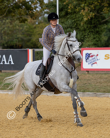 Al Shira'aa British Young Horse Championships