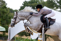 Al Shira'aa British Young Horse Championships