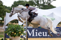 Al Shira'aa British Young Horse Championships