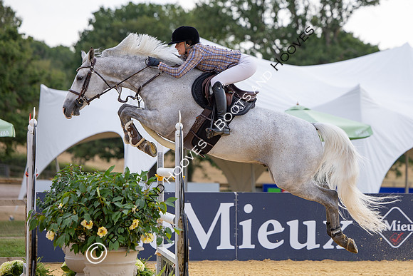 Al Shira'aa British Young Horse Championships