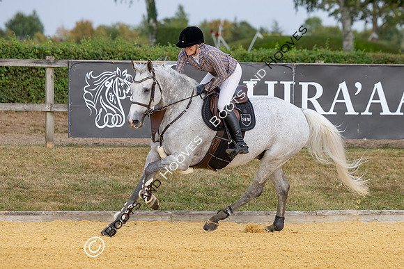 Al Shira'aa British Young Horse Championships