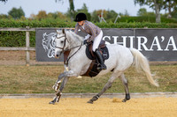 Al Shira'aa British Young Horse Championships