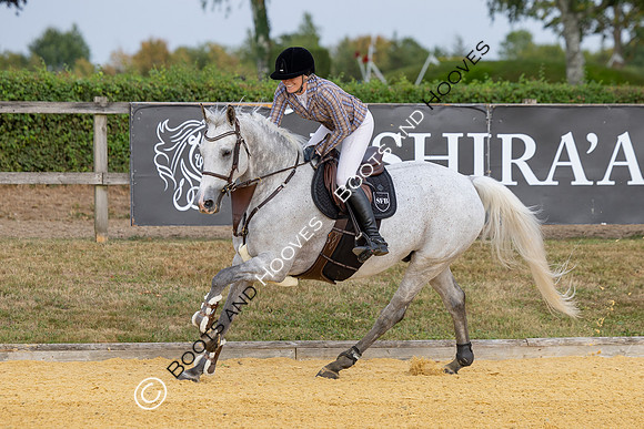 Al Shira'aa British Young Horse Championships
