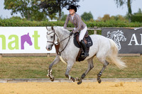 Al Shira'aa British Young Horse Championships
