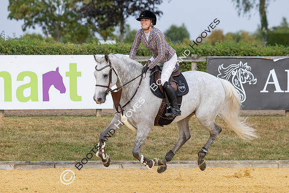 Al Shira'aa British Young Horse Championships