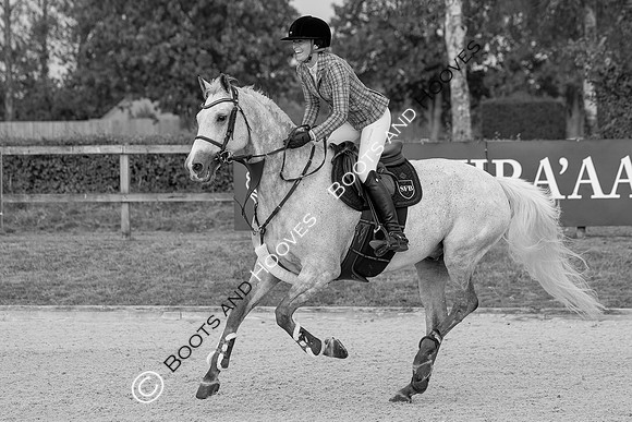 Al Shira'aa British Young Horse Championships
