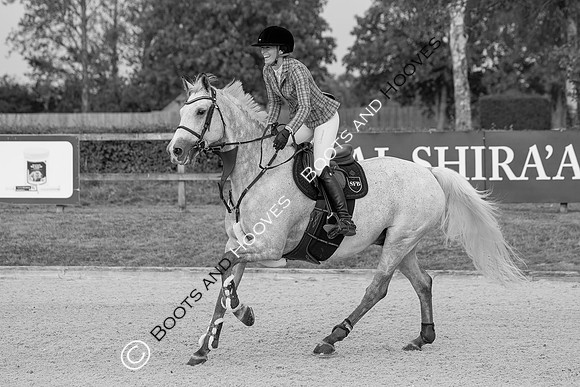 Al Shira'aa British Young Horse Championships