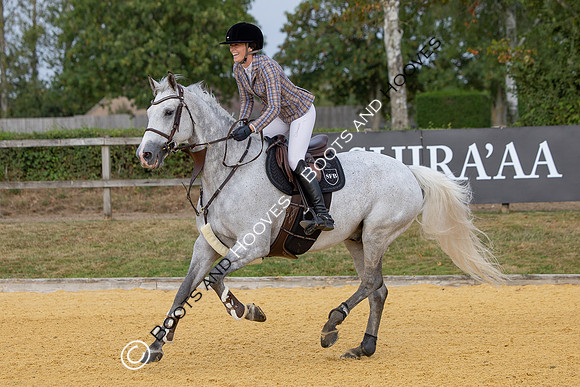 Al Shira'aa British Young Horse Championships