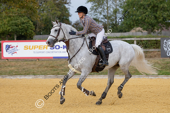 Al Shira'aa British Young Horse Championships