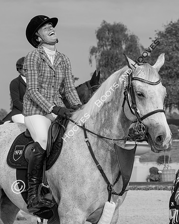 Al Shira'aa British Young Horse Championships