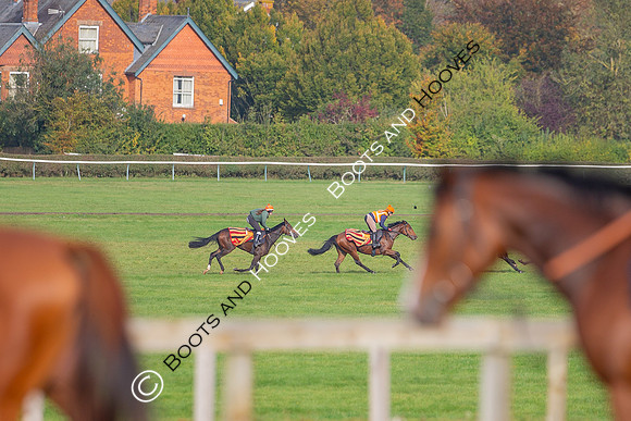 Newmarket