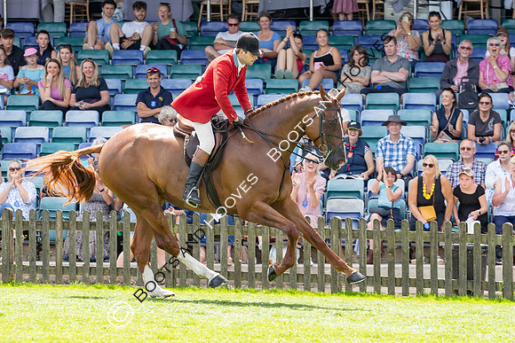 The AGRIA Royal International Horse Show