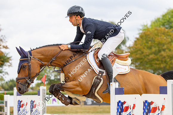 Al Shira'aa British Young Horse Championships