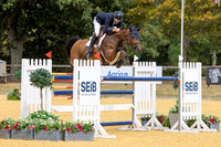 Al Shira'aa British Young Horse Championships