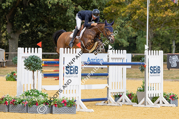 Al Shira'aa British Young Horse Championships
