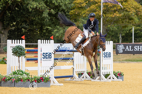 Al Shira'aa British Young Horse Championships