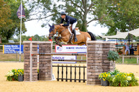 Al Shira'aa British Young Horse Championships