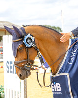 Al Shira'aa British Young Horse Championships