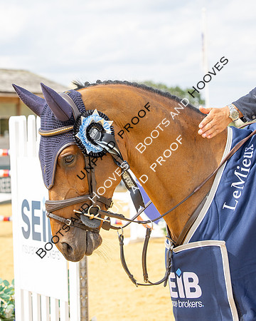 Al Shira'aa British Young Horse Championships