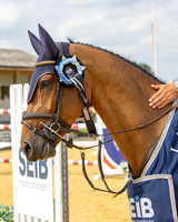 Al Shira'aa British Young Horse Championships