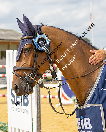 Al Shira'aa British Young Horse Championships