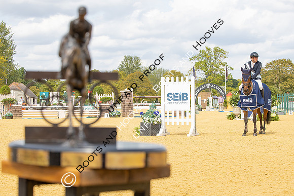 Al Shira'aa British Young Horse Championships