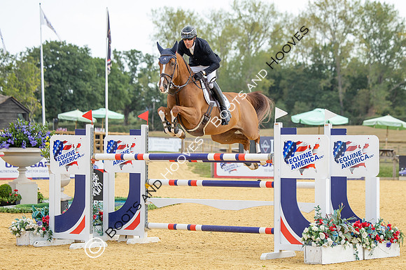 Al Shira'aa British Young Horse Championships