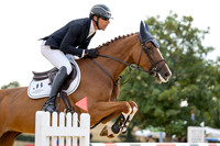 Al Shira'aa British Young Horse Championships
