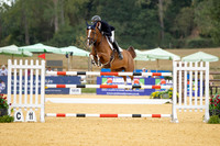 Al Shira'aa British Young Horse Championships