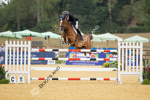 Al Shira'aa British Young Horse Championships