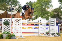 Al Shira'aa British Young Horse Championships