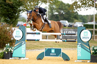 Al Shira'aa British Young Horse Championships