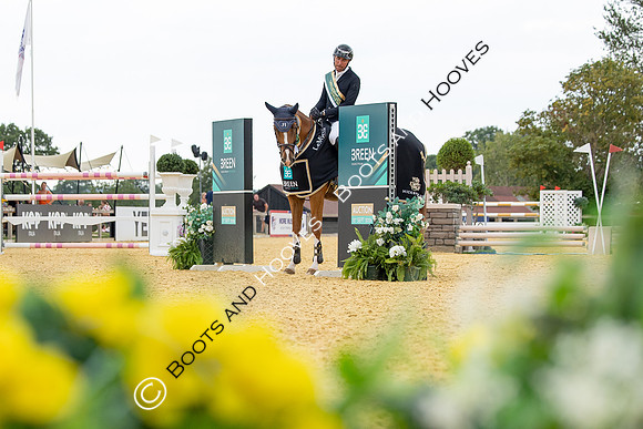 Al Shira'aa British Young Horse Championships