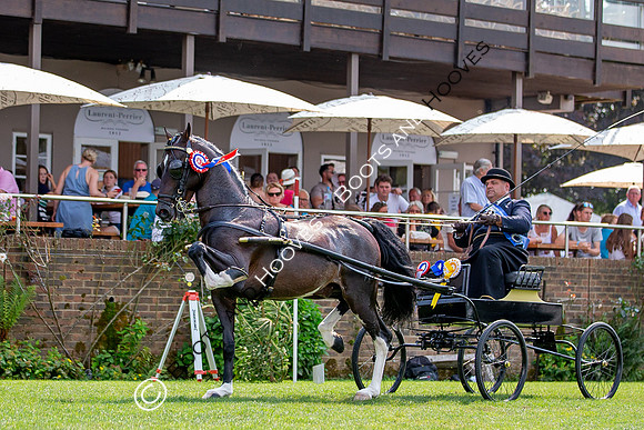 The Prenetics Royal International Horse Show