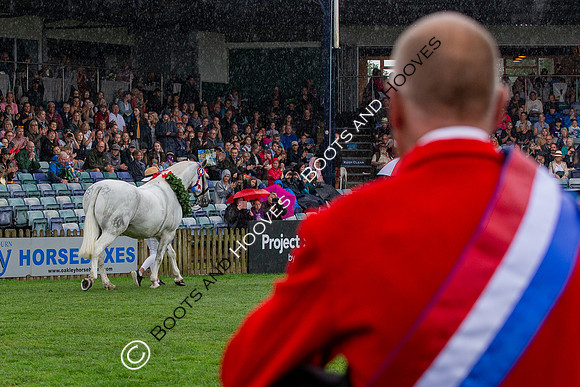 The Prenetics Royal International Horse Show