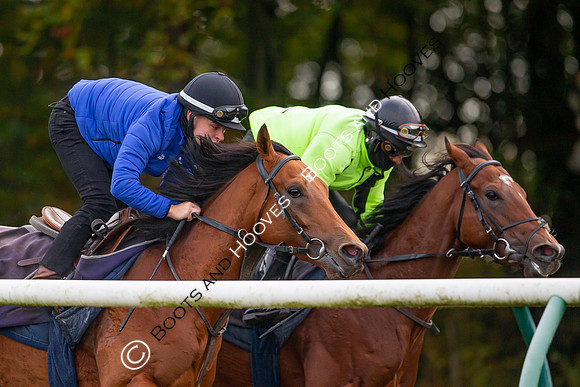 Newmarket